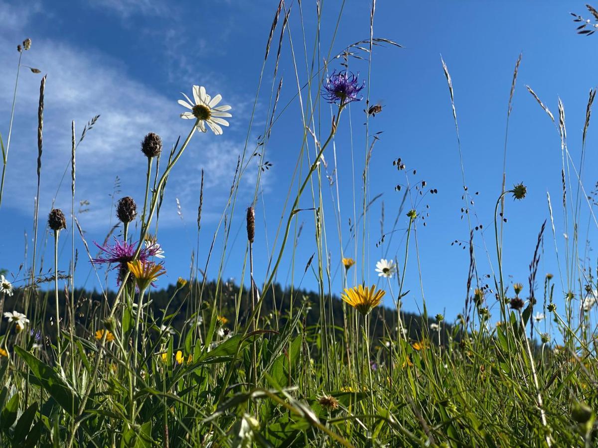 Alpenhof Kruen 호텔 외부 사진