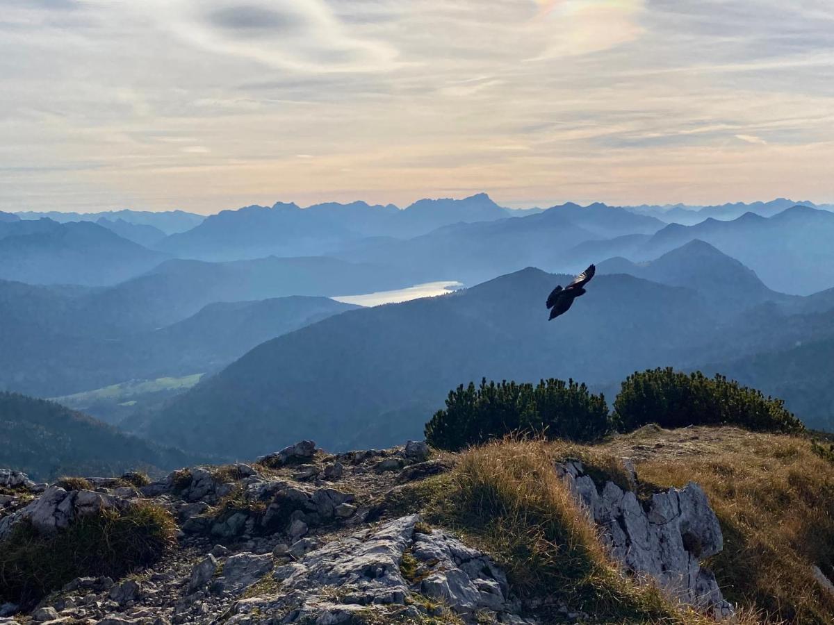 Alpenhof Kruen 호텔 외부 사진