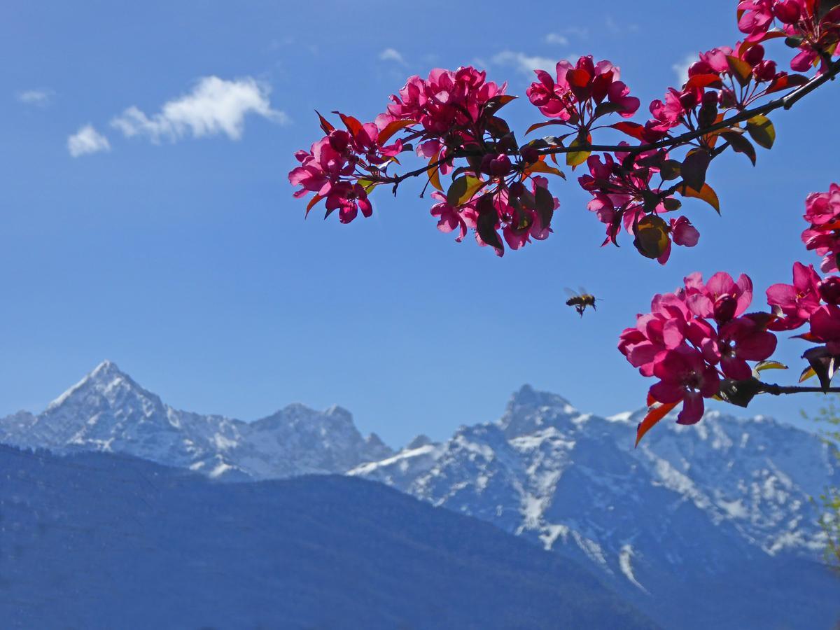 Alpenhof Kruen 호텔 외부 사진